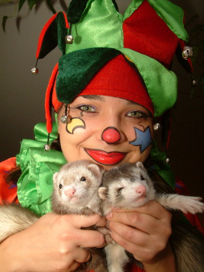 ariane_le_clown_avec_ses_deux_furets_de_cirque_atapou_et_farfouille.jpg